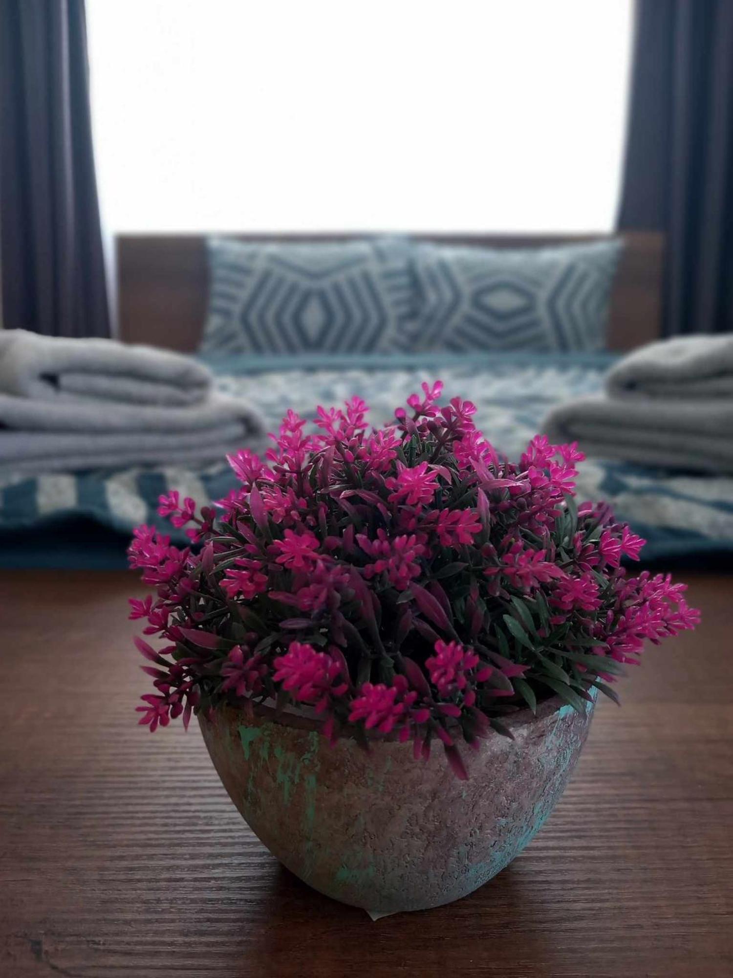 Gopo Guesthouse Elshani ภายนอก รูปภาพ