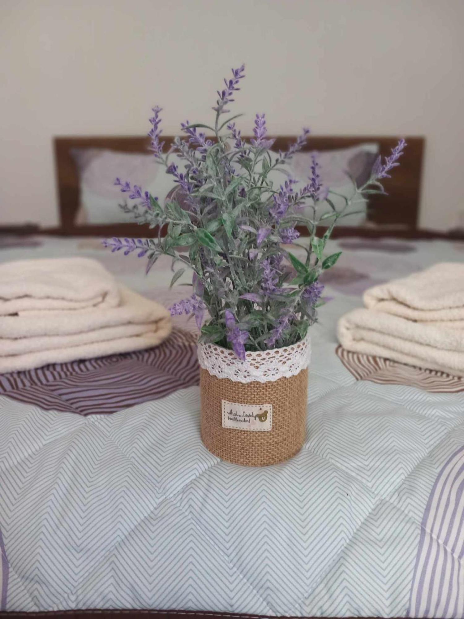 Gopo Guesthouse Elshani ภายนอก รูปภาพ