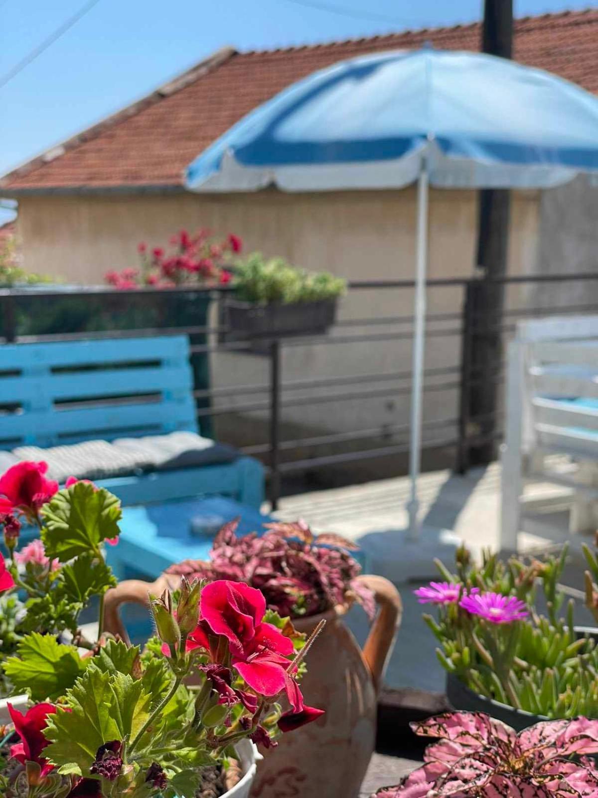 Gopo Guesthouse Elshani ภายนอก รูปภาพ